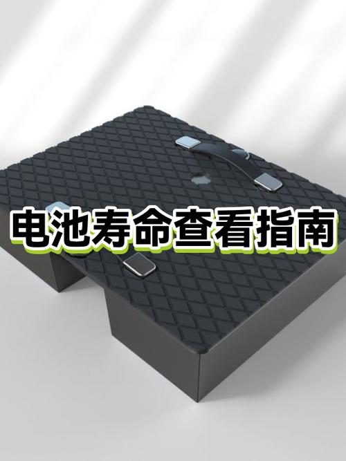 电池寿命在哪里看