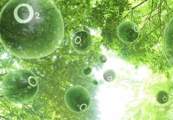 氧气缩略图