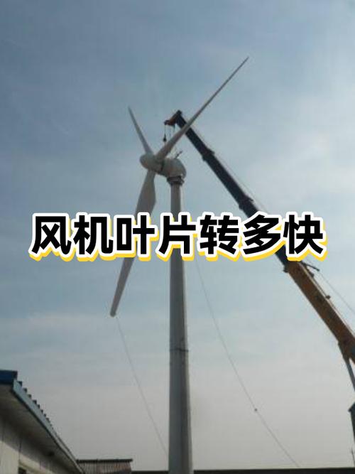 钉钉怎么怎么能快速多人转发