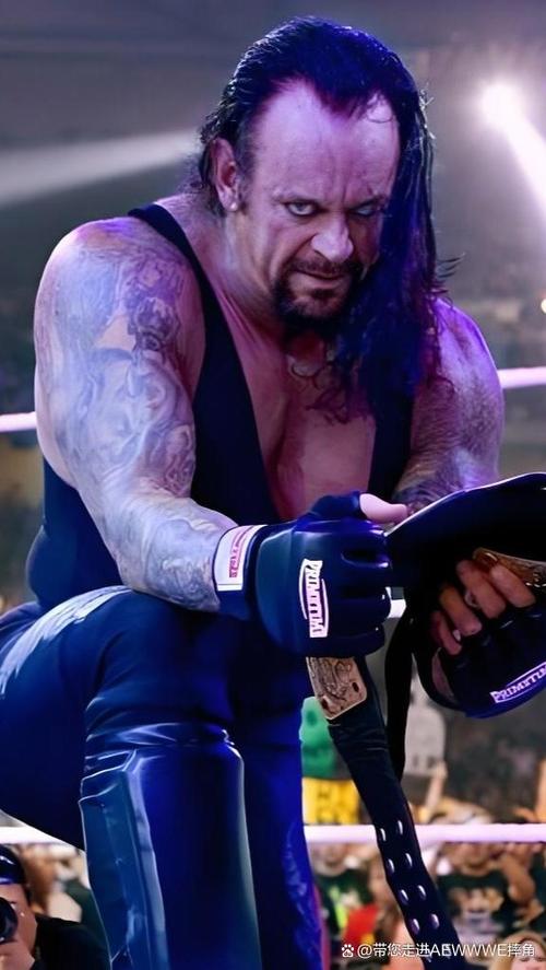 WWE美国职业摔角游戏截图