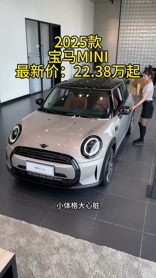 宝马mini电车缩略图