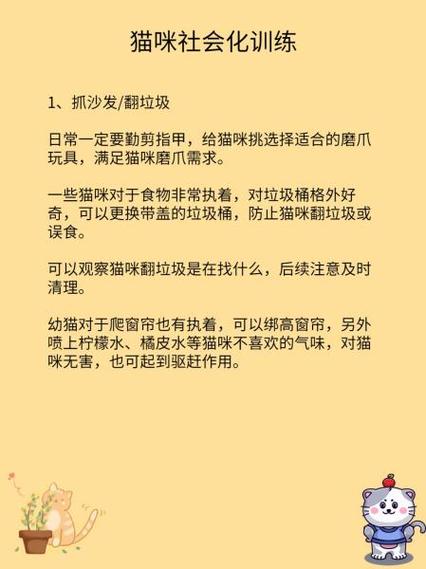 母猫听话还是公猫听话