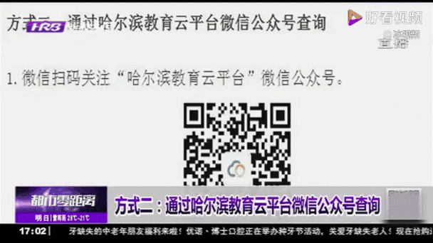 哈市教育云平台登录入口