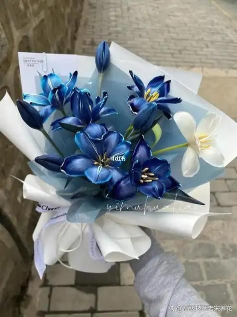 blued是什么交友软件图标