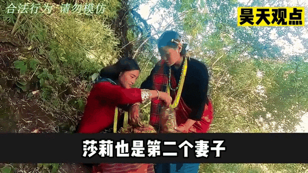 五夫一妻by王二妮免费阅读全文游戏截图