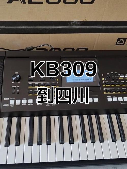 309电子琴节奏包怎么安装图标