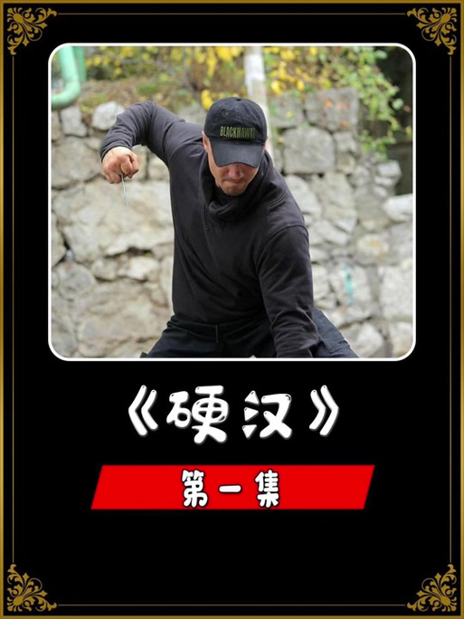 电影硬汉1免费观看游戏截图