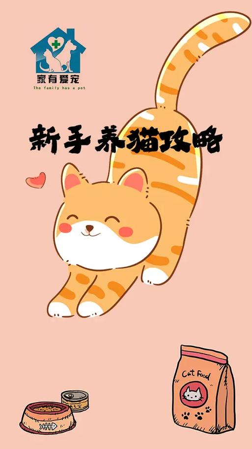 最简单的养猫方法图标