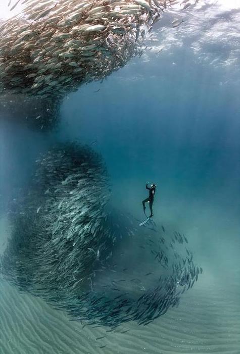 海洋世界水族馆海底世界缩略图