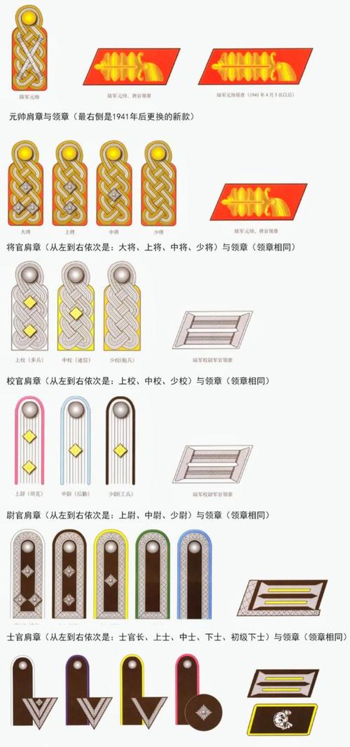 二战德军领章级别图解