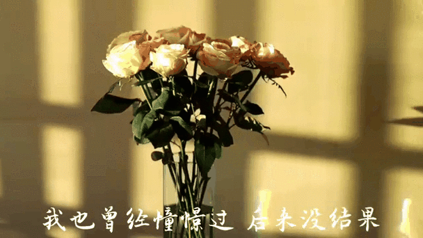 没有结局的邂逅为谁而写作图标