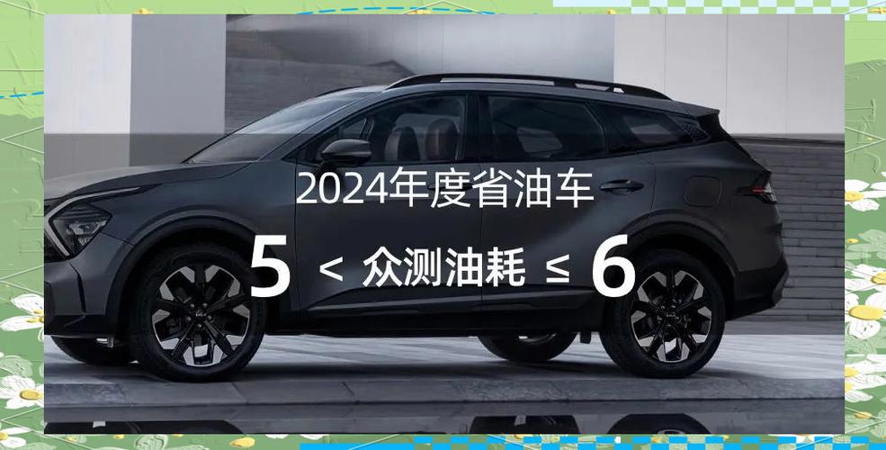 小熊油耗排行榜2019缩略图