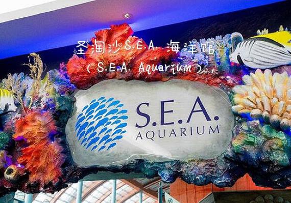 海洋馆最火三句话图标