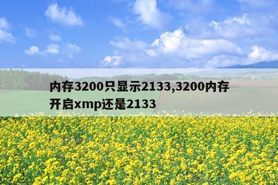 内存3200只显示2133缩略图