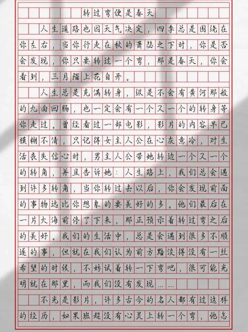 中考800字优秀作文游戏截图