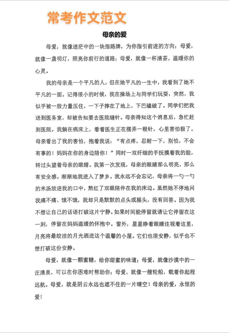 母亲的爱 第五章完整汉化版游戏截图