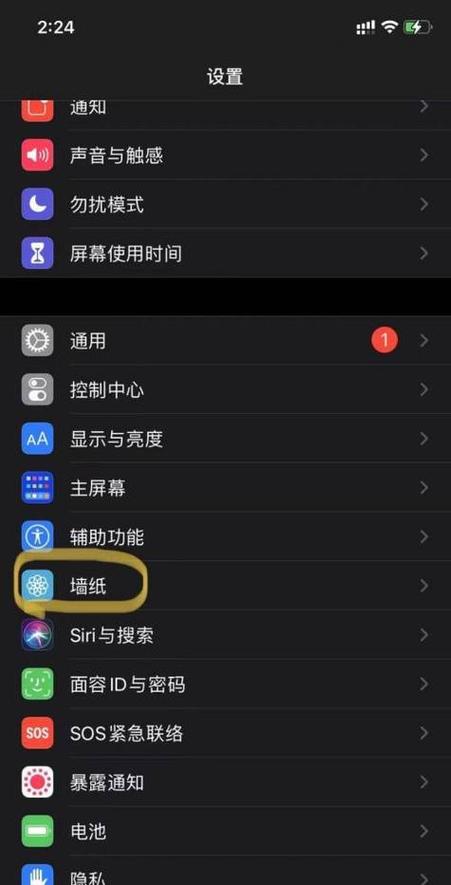 苹果怎么删除自定义壁纸图标