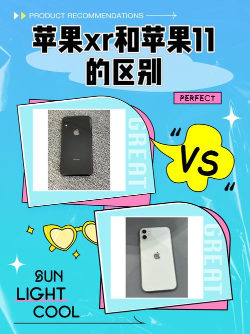 苹果11和苹果xr哪个好图标
