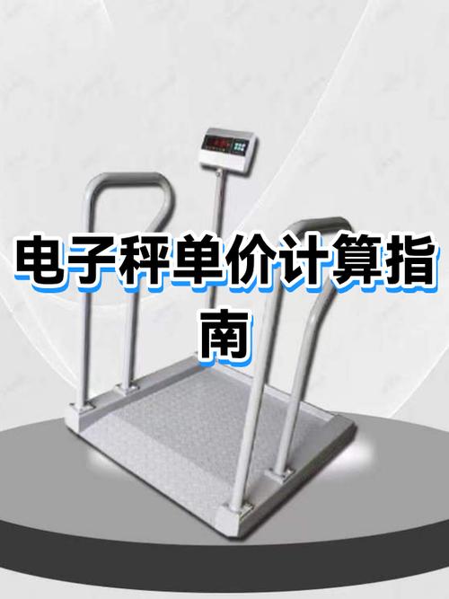 电子秤设定单价和总价游戏截图