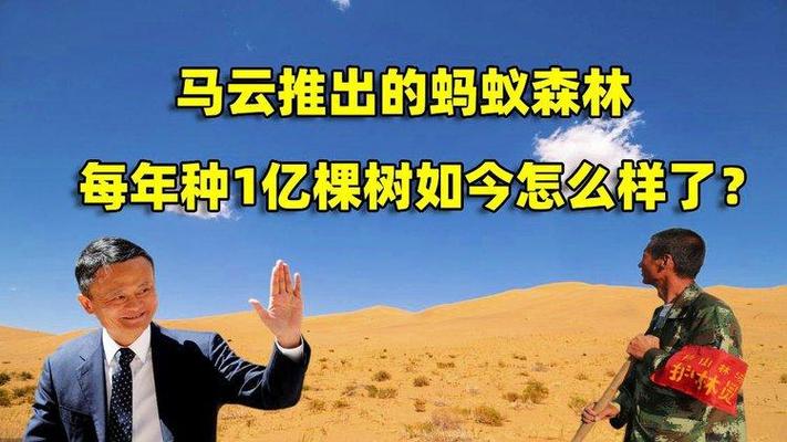 走了1万多步,蚂蚁森林为啥没有了