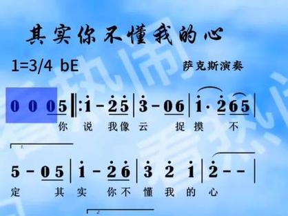 《你不懂我的心》歌词缩略图