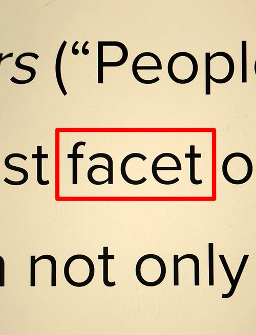 face的翻译