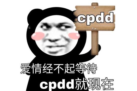 cpdd是干什么用的缩略图