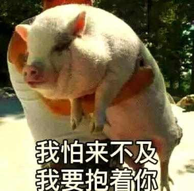 抱女朋友像抱猪表情包缩略图