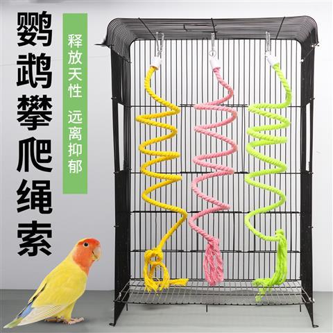 虎皮鹦鹉玩具图标