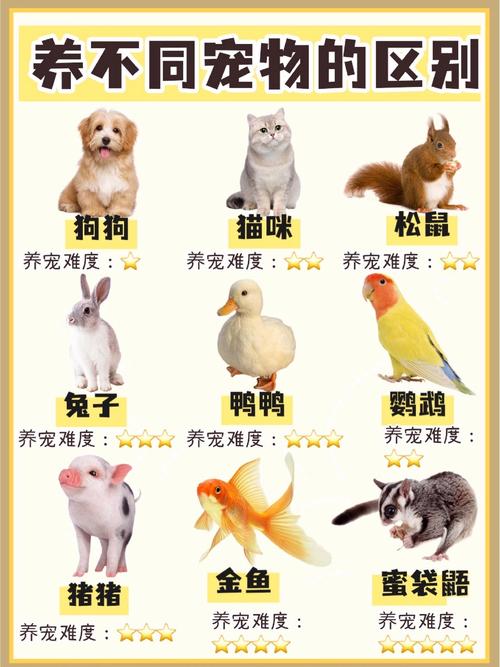宠物连连看经典版官方版缩略图