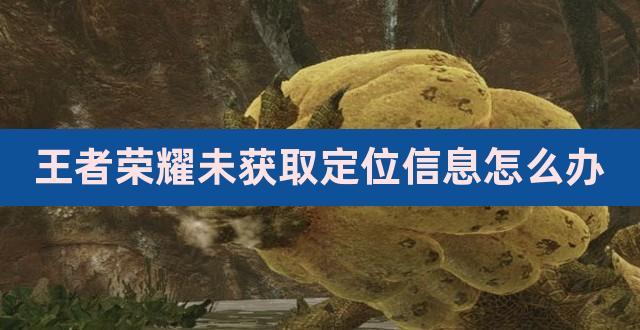 王者荣耀无法获取定位缩略图