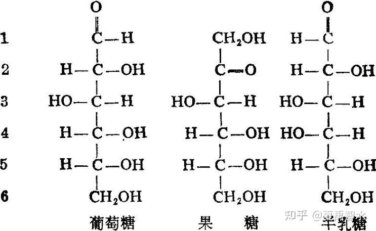 为什么叫葡萄糖缩略图