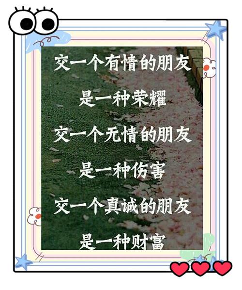 真心聊陌生交友软件缩略图