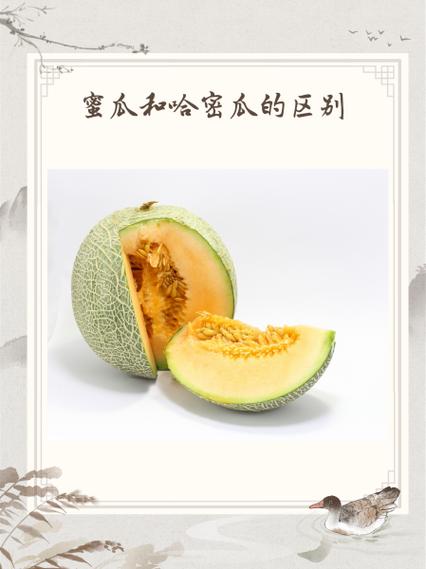 香蜜瓜和哈密瓜的区别缩略图