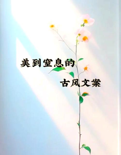 花飞花谢花满天全诗图标