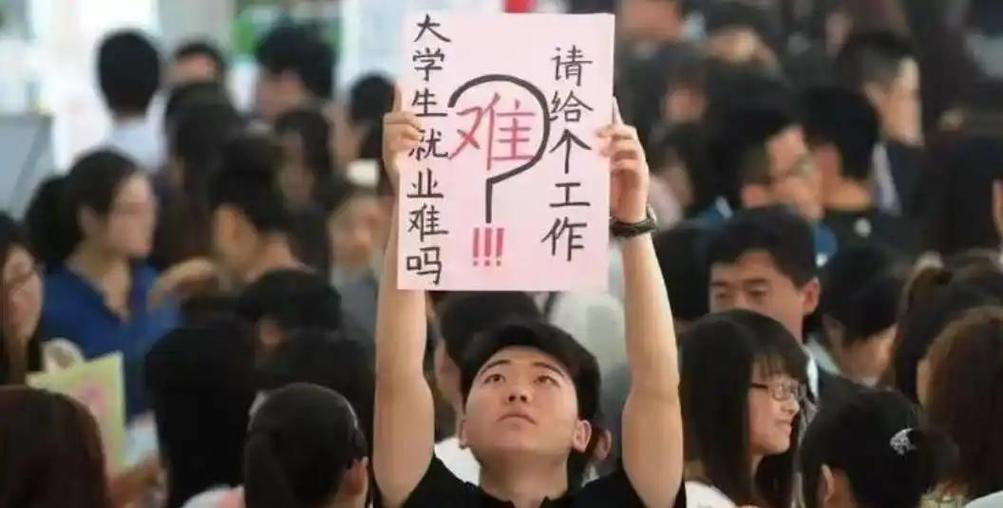 软件技术就业太难了缩略图