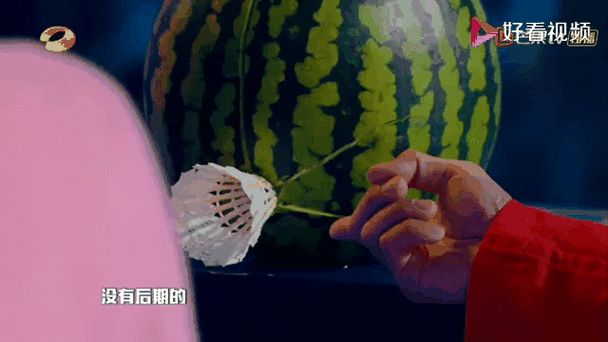西瓜看球免费直播游戏截图