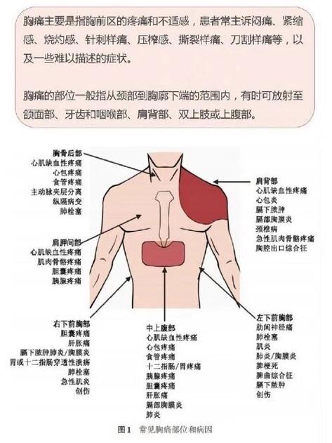 男性右侧疼痛对照表缩略图