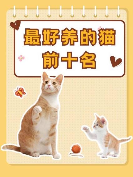 小橘猫怎么养游戏截图