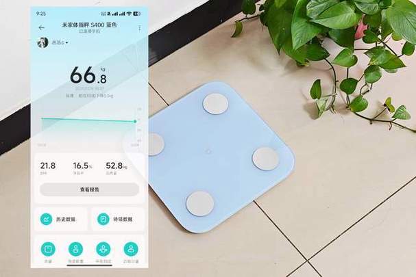 小米体脂秤怎么连接米家图标