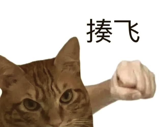发癫表情包