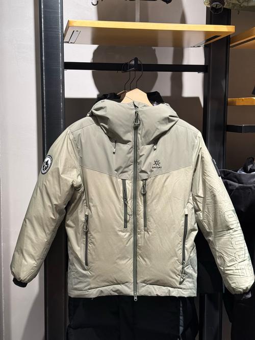 冰山的logo是啥牌子羽绒服缩略图