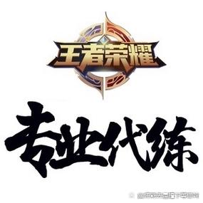 王者荣耀代练群游戏截图