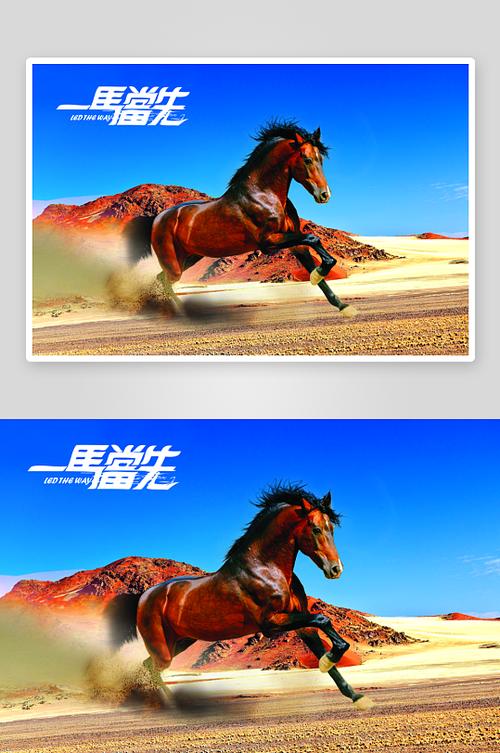 一马当先打一个准确生肖缩略图