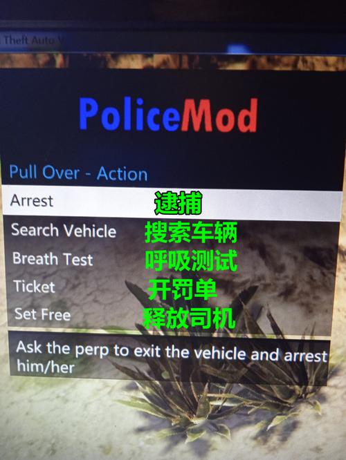 这是警察内置MOD菜单缩略图