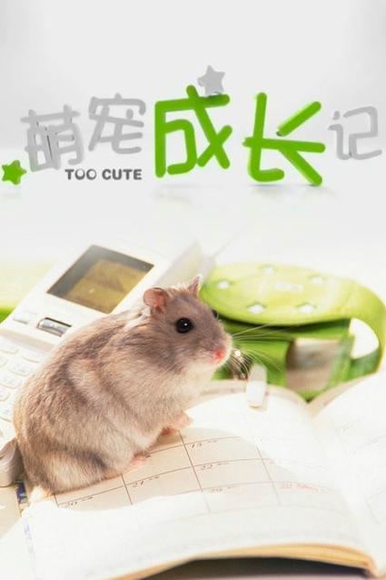 手机宠物app