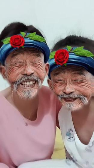 糟老头app安卓版下载安装