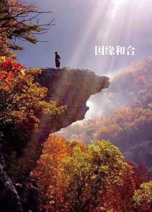 觅缘交友软件游戏截图
