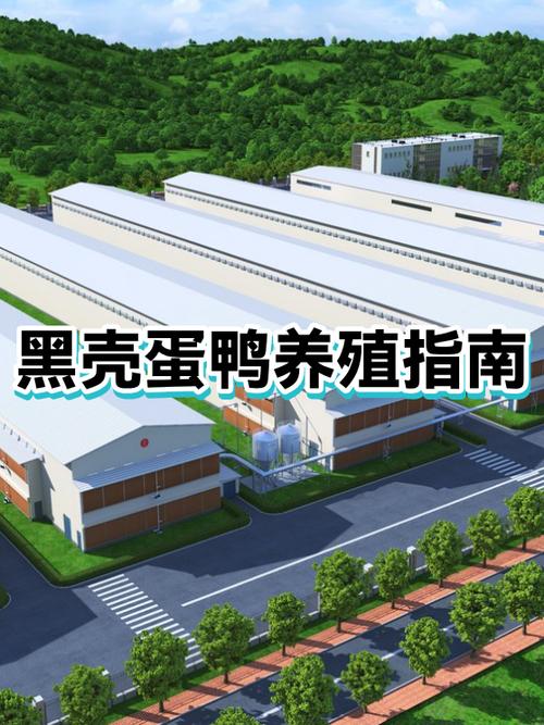 4000只蛋鸭一年能挣10万吗图标