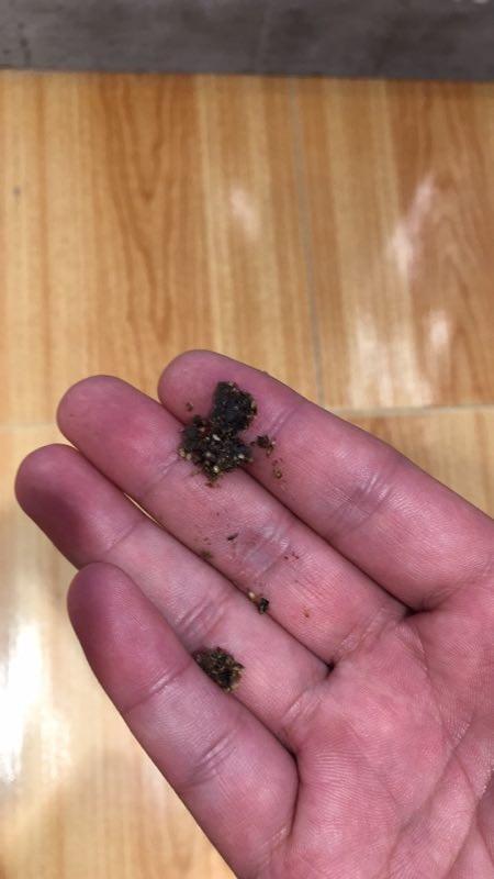 经过树下被鸟屎砸头上正常吗图标
